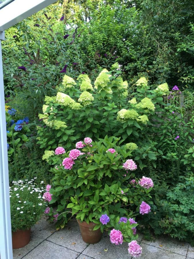 Double Room Garden View